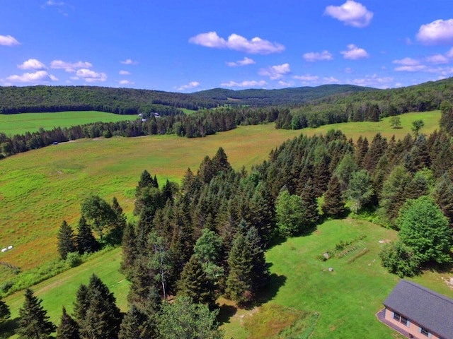 769 Aroostook Rd, Fort Kent, ME 04743 - photo 3