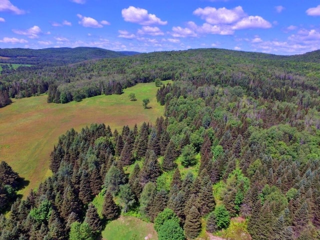 769 Aroostook Rd, Fort Kent, ME 04743 - photo 61