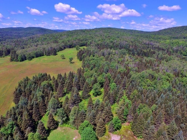 769 Aroostook Rd, Fort Kent, ME 04743 - photo 40