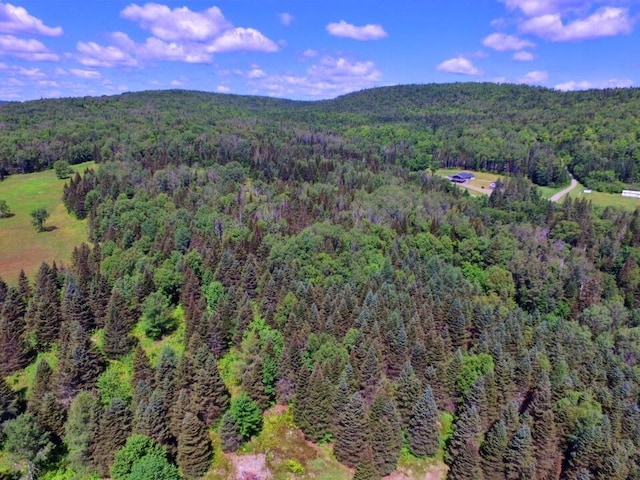 769 Aroostook Rd, Fort Kent, ME 04743 - photo 41