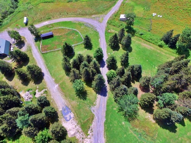 769 Aroostook Rd, Fort Kent, ME 04743 - photo 43