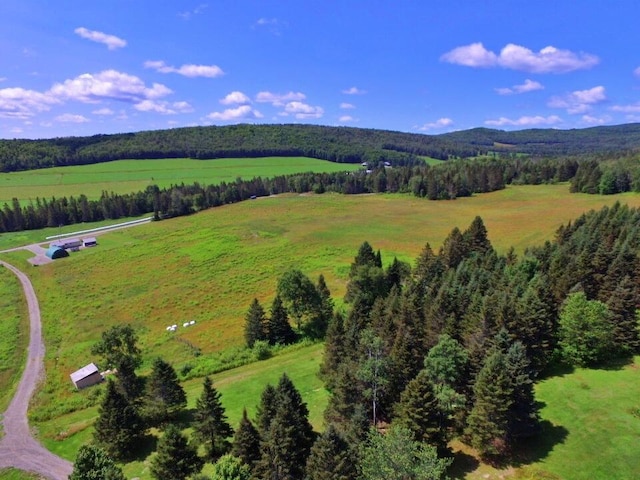 769 Aroostook Rd, Fort Kent, ME 04743 - photo 59