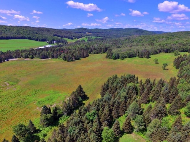 769 Aroostook Rd, Fort Kent, ME 04743 - photo 60