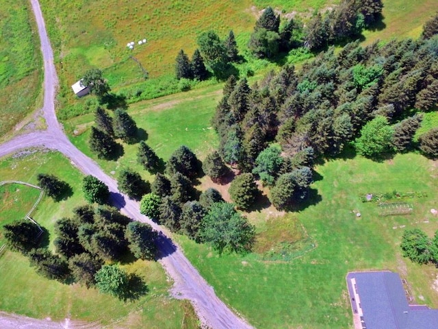 769 Aroostook Rd, Fort Kent, ME 04743 - photo 62