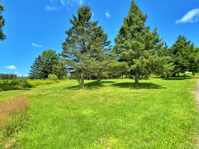 769 Aroostook Rd, Fort Kent, ME 04743 - photo 55