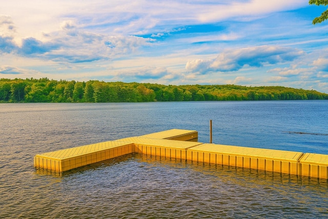 764 N River Rd, Greene, ME 04236 - photo 64