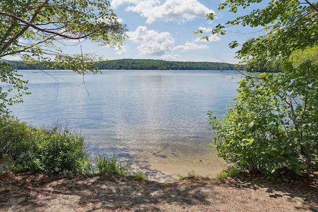 28 Deer Acres Rd, Gray, ME 04071 - photo 6