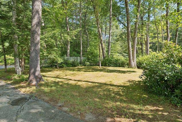 28 Deer Acres Rd, Gray, ME 04071 - photo 54