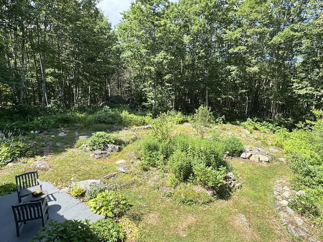22 White Orchard Rd, Frankfort, ME 04438 - photo 29