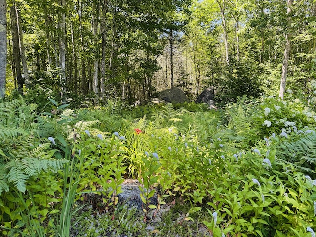 22 White Orchard Rd, Frankfort, ME 04438 - photo 46