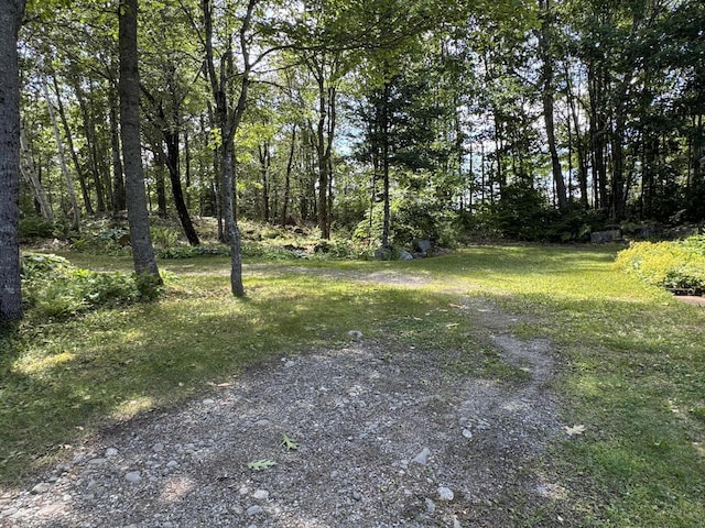 22 White Orchard Rd, Frankfort, ME 04438 - photo 38