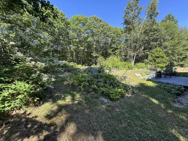 22 White Orchard Rd, Frankfort, ME 04438 - photo 47