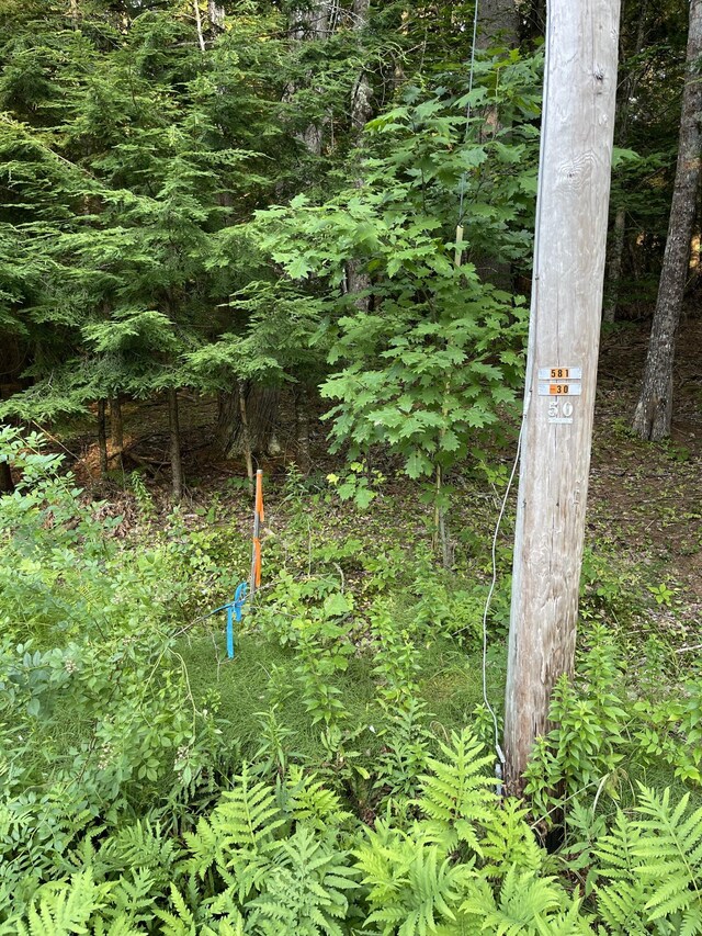 166A Highland Cliff Rd, Windham, ME 04062 - photo 5