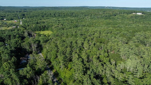 166A Highland Cliff Rd, Windham, ME 04062 - photo 13