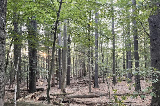 166A Highland Cliff Rd, Windham, ME 04062 - photo 1
