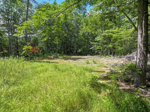 71 Jordan Ln, Turner, ME 04282 - photo 6