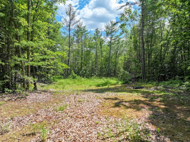 71 Jordan Ln, Turner, ME 04282 - photo 7