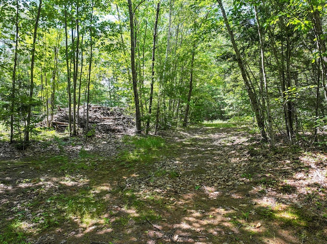 71 Jordan Ln, Turner, ME 04282 - photo 10