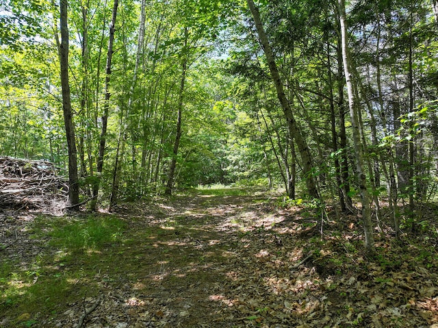 71 Jordan Ln, Turner, ME 04282 - photo 11