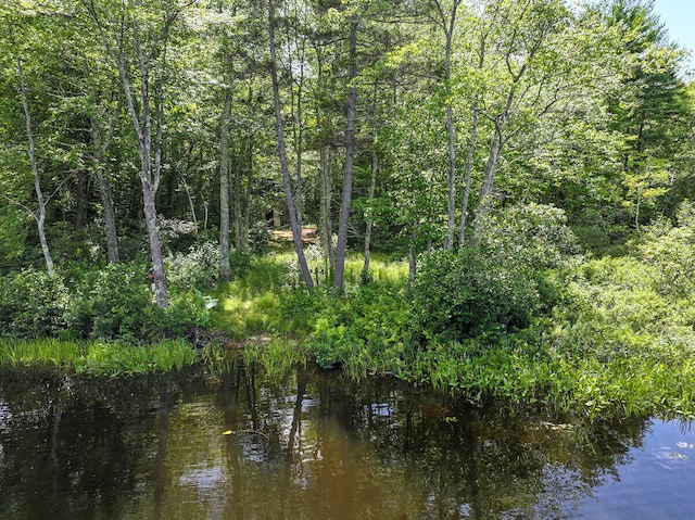 71 Jordan Ln, Turner, ME 04282 - photo 15