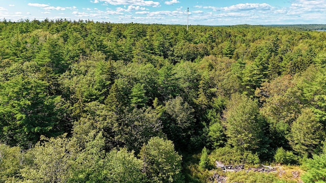 1 Plum Ln Unit D, Georgetown, ME 04548 - photo 3