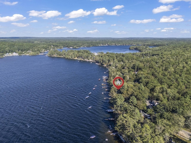 81 Whites Point Rd, Standish, ME 04084 - photo 41