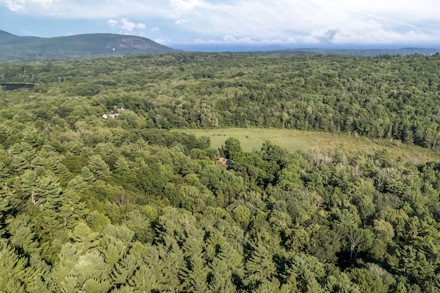 424 Molyneaux Rd, Camden, ME 04843 - photo 6