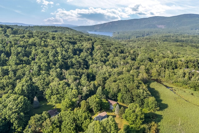 424 Molyneaux Rd, Camden, ME 04843 - photo 4