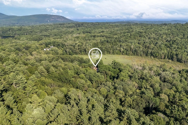 424 Molyneaux Rd, Camden, ME 04843 - photo 59
