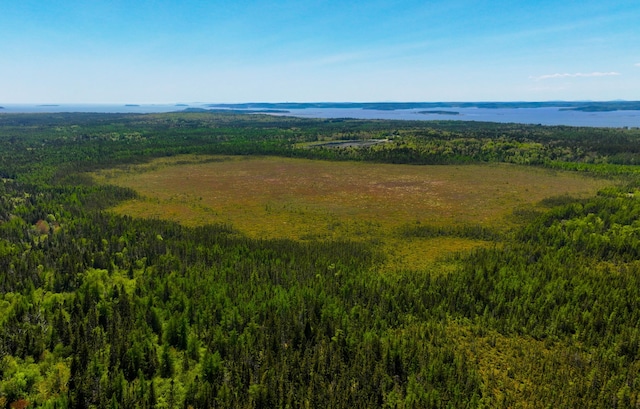 1728 Cutler Rd, Cutler, ME 04626 - photo 2