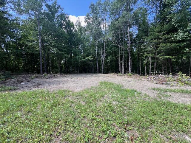 LOT29.3 Cone Rd, Amity, ME 04471 - photo 2