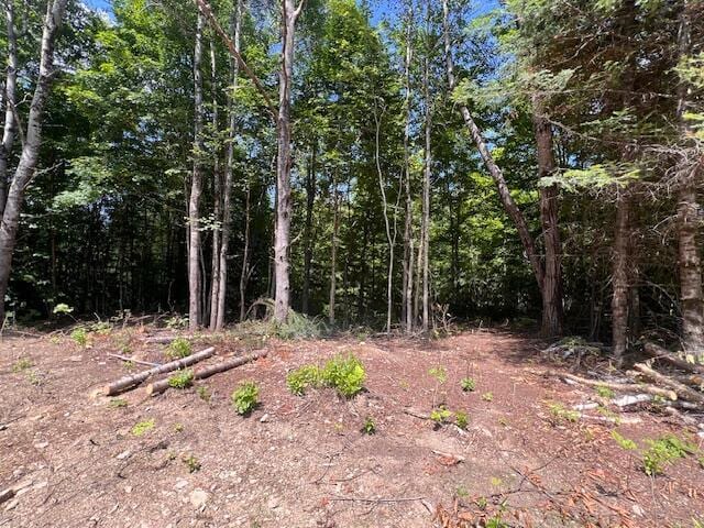 LOT29.3 Cone Rd, Amity, ME 04471 - photo 3