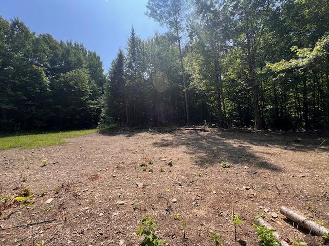 LOT29.3 Cone Rd, Amity, ME 04471 - photo 4
