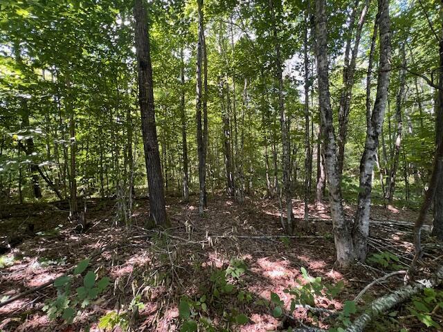 LOT29.3 Cone Rd, Amity, ME 04471 - photo 11