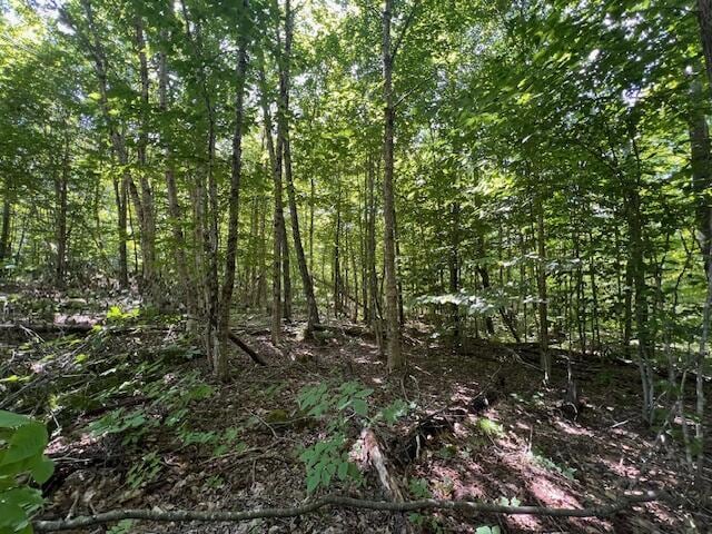 LOT29.3 Cone Rd, Amity, ME 04471 - photo 12