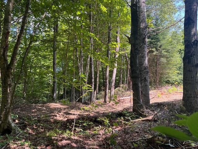 LOT29.3 Cone Rd, Amity, ME 04471 - photo 13