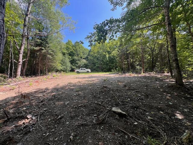 LOT29.3 Cone Rd, Amity, ME 04471 - photo 5