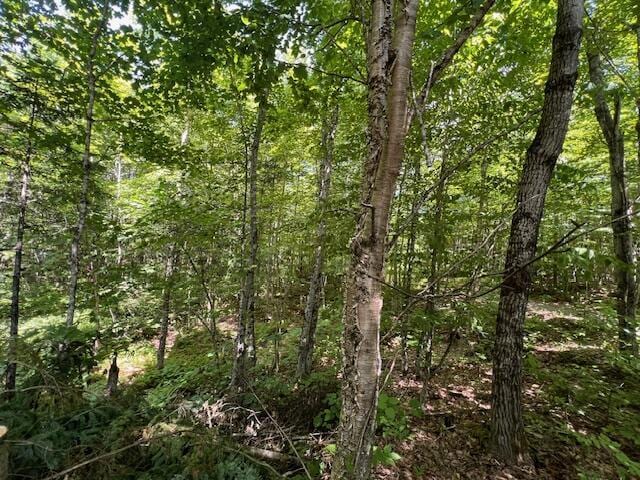 LOT29.3 Cone Rd, Amity, ME 04471 - photo 15