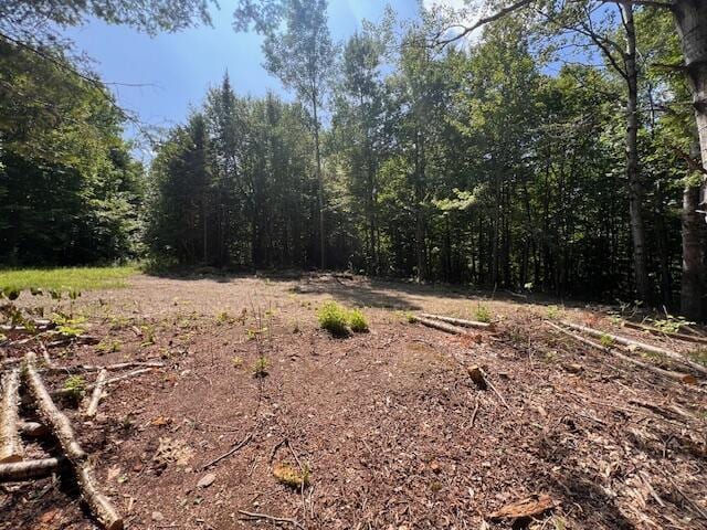 LOT29.3 Cone Rd, Amity, ME 04471 - photo 6