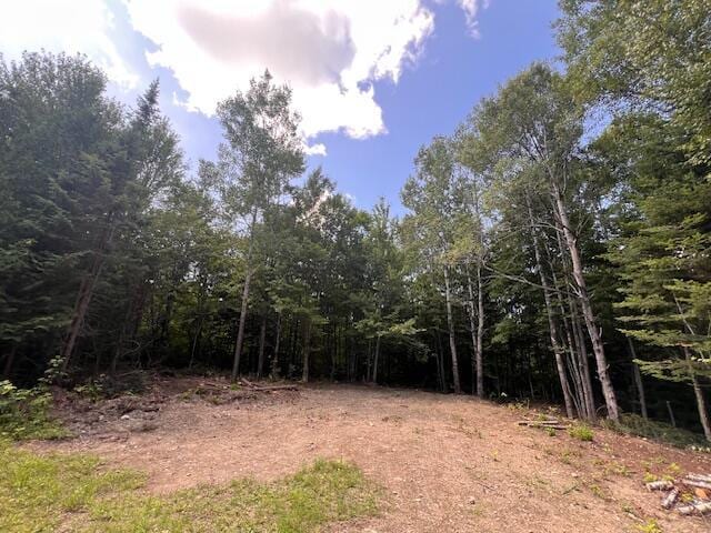 LOT29.3 Cone Rd, Amity, ME 04471 - photo 1