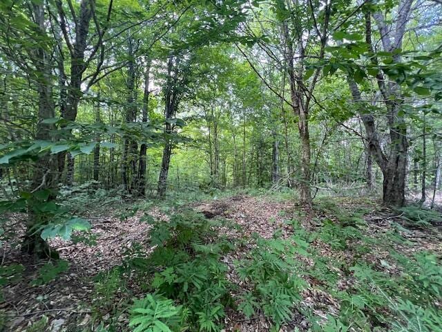 LOT29.3 Cone Rd, Amity, ME 04471 - photo 16