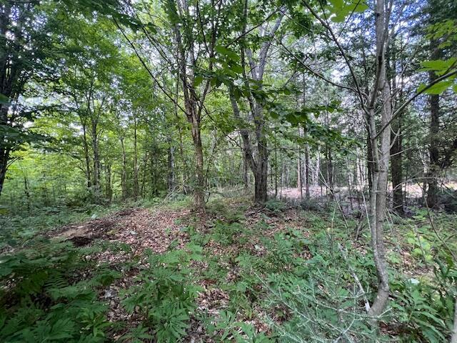 LOT29.3 Cone Rd, Amity, ME 04471 - photo 17