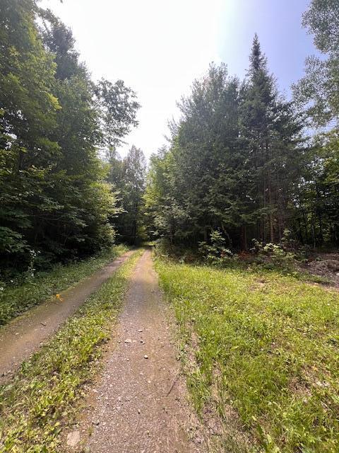 LOT29.3 Cone Rd, Amity, ME 04471 - photo 19