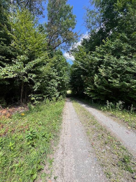 LOT29.3 Cone Rd, Amity, ME 04471 - photo 20