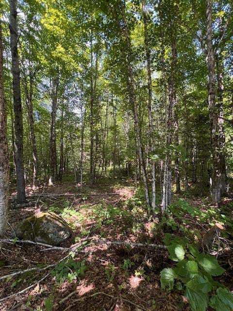 LOT29.3 Cone Rd, Amity, ME 04471 - photo 9