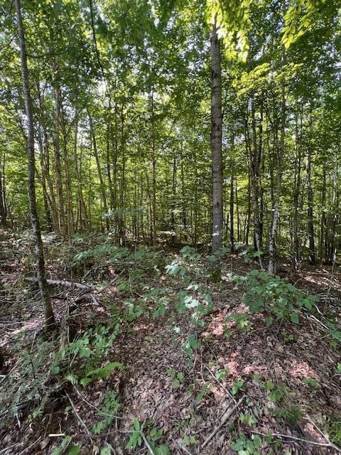 LOT29.3 Cone Rd, Amity, ME 04471 - photo 10