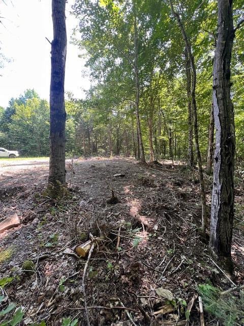 LOT29.3 Cone Rd, Amity, ME 04471 - photo 8