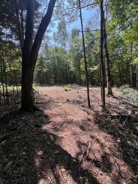 LOT29.3 Cone Rd, Amity, ME 04471 - photo 7