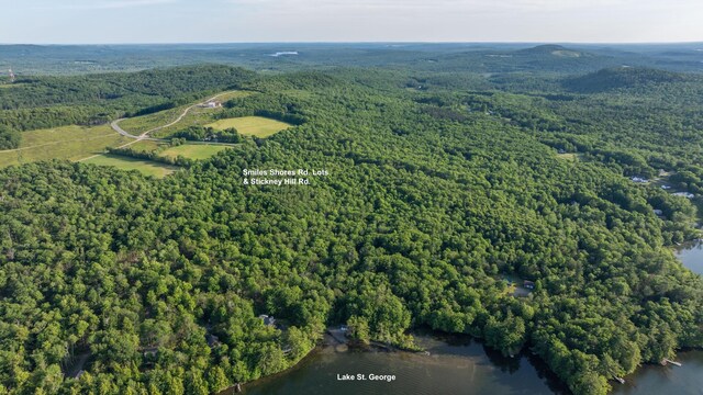LOT13 Stickney Hill Rd, Liberty, ME 04949 - photo 3