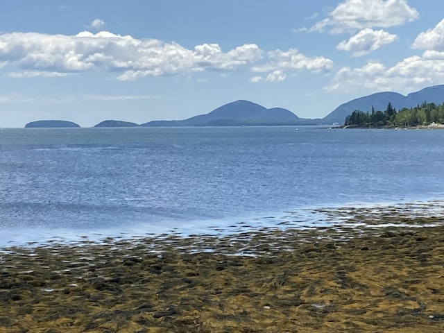 157 Jellison Cove Rd, Hancock, ME 04640 - photo 36
